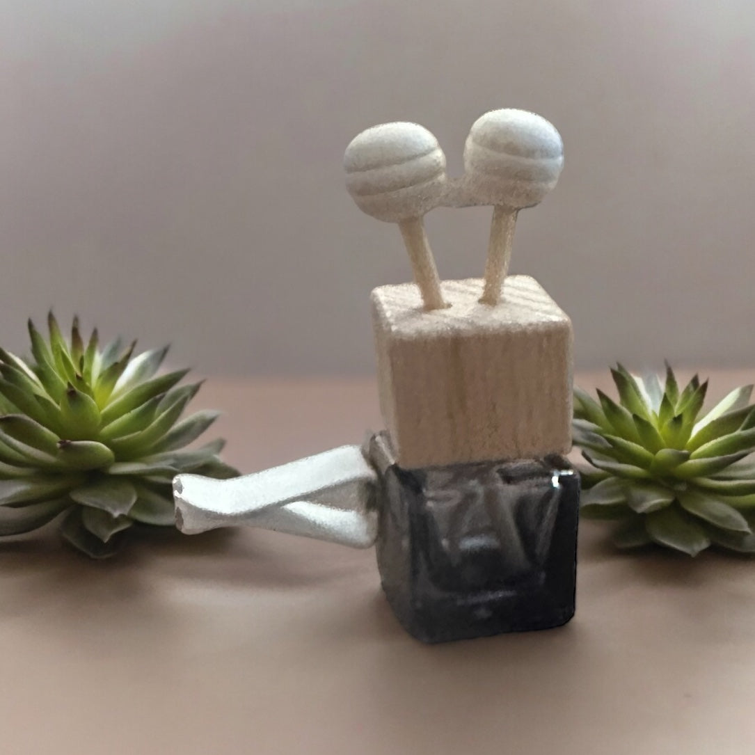Car Vent Clip Diffusers (various scents)
